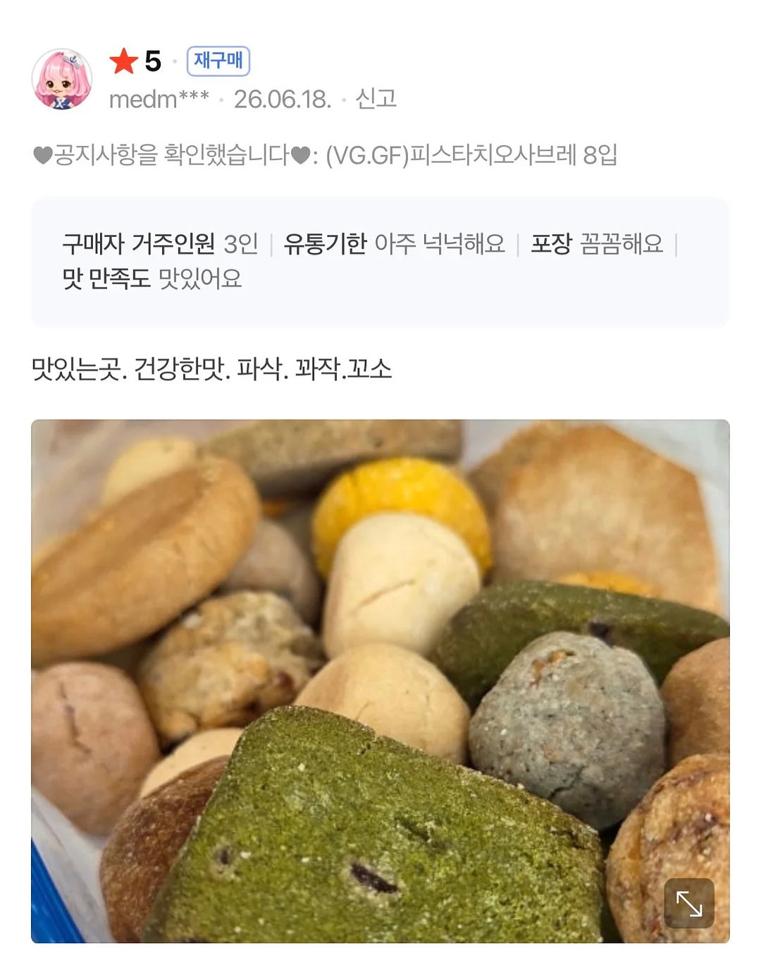 개미 생태 관찰 키트 13