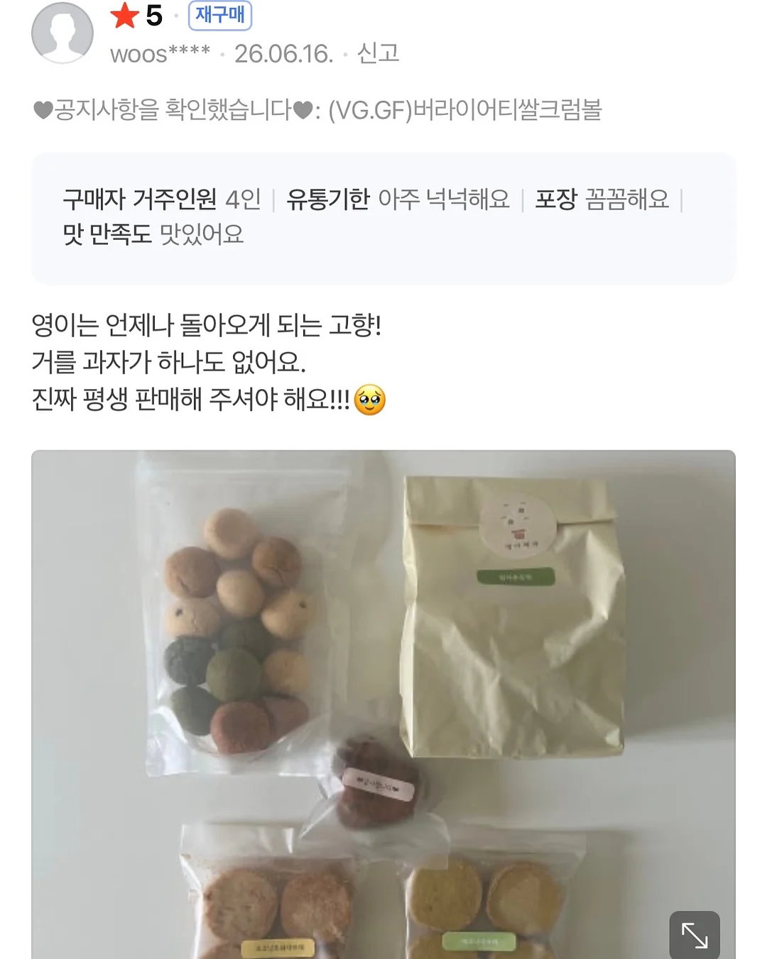 개미 생태 관찰 키트 15