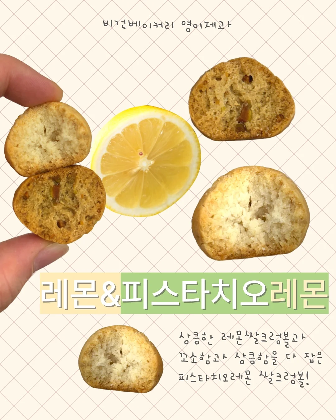 개미 생태 관찰 키트 3
