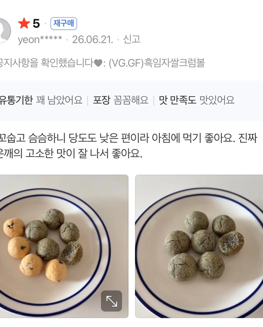 개미 생태 관찰 키트 4