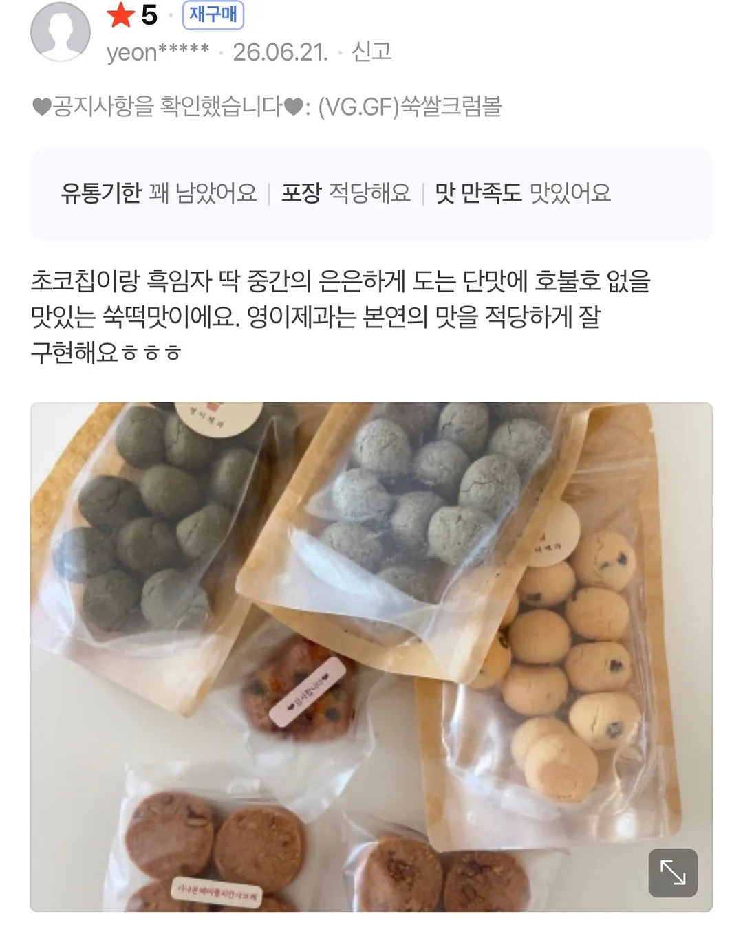 개미 생태 관찰 키트 5