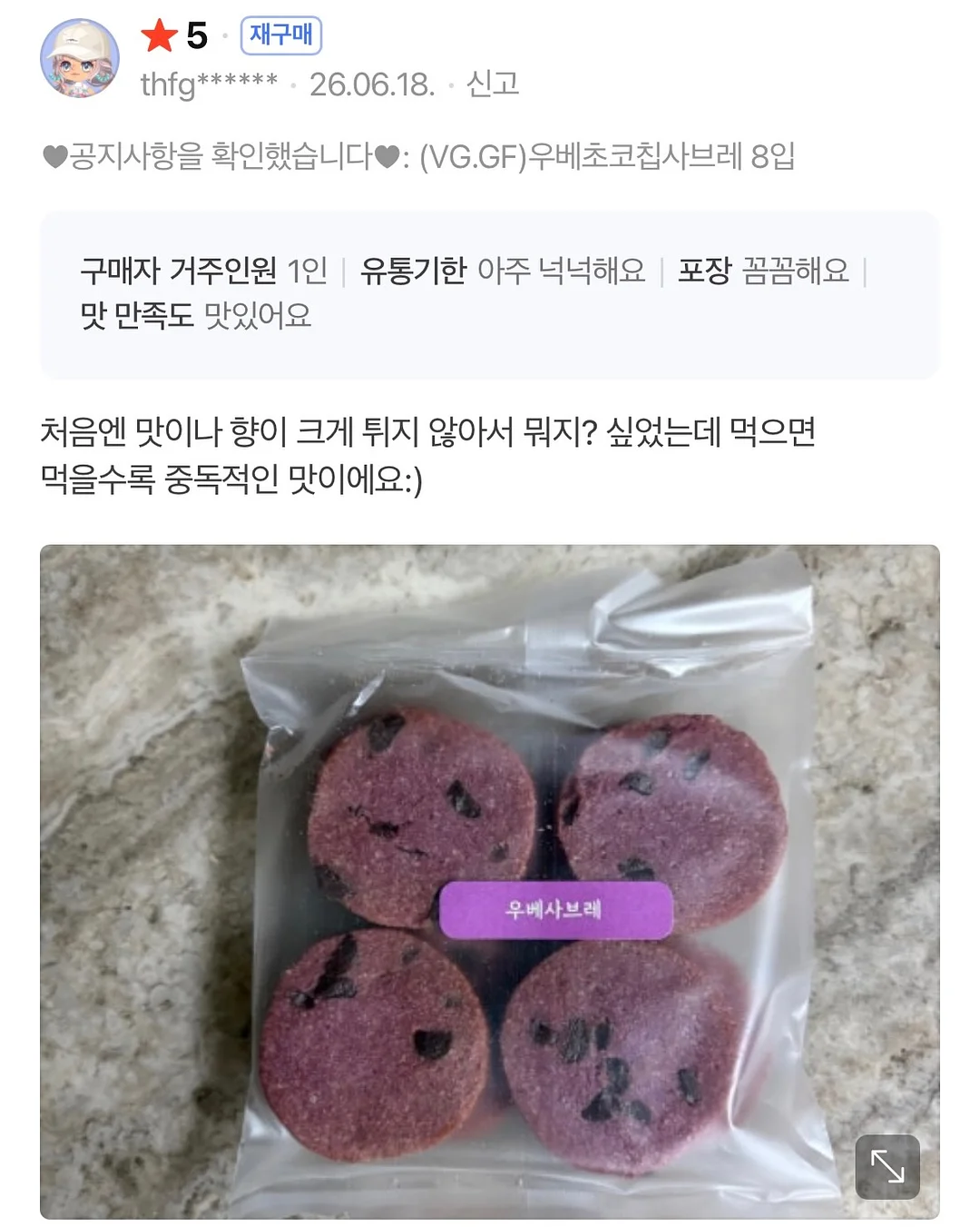 개미 생태 관찰 키트 10
