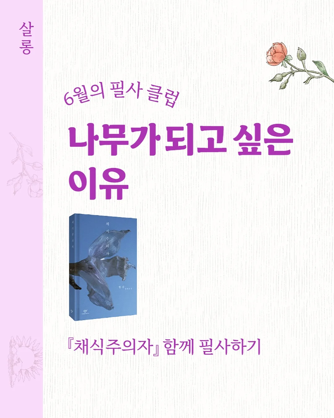 원데이즈유 토너패드 8