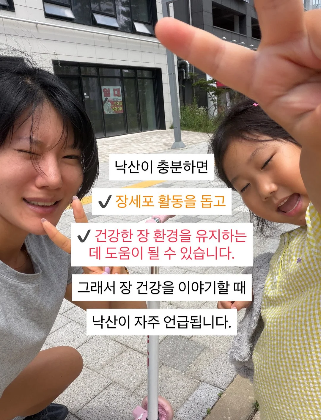 앙금플라워 클래스 6