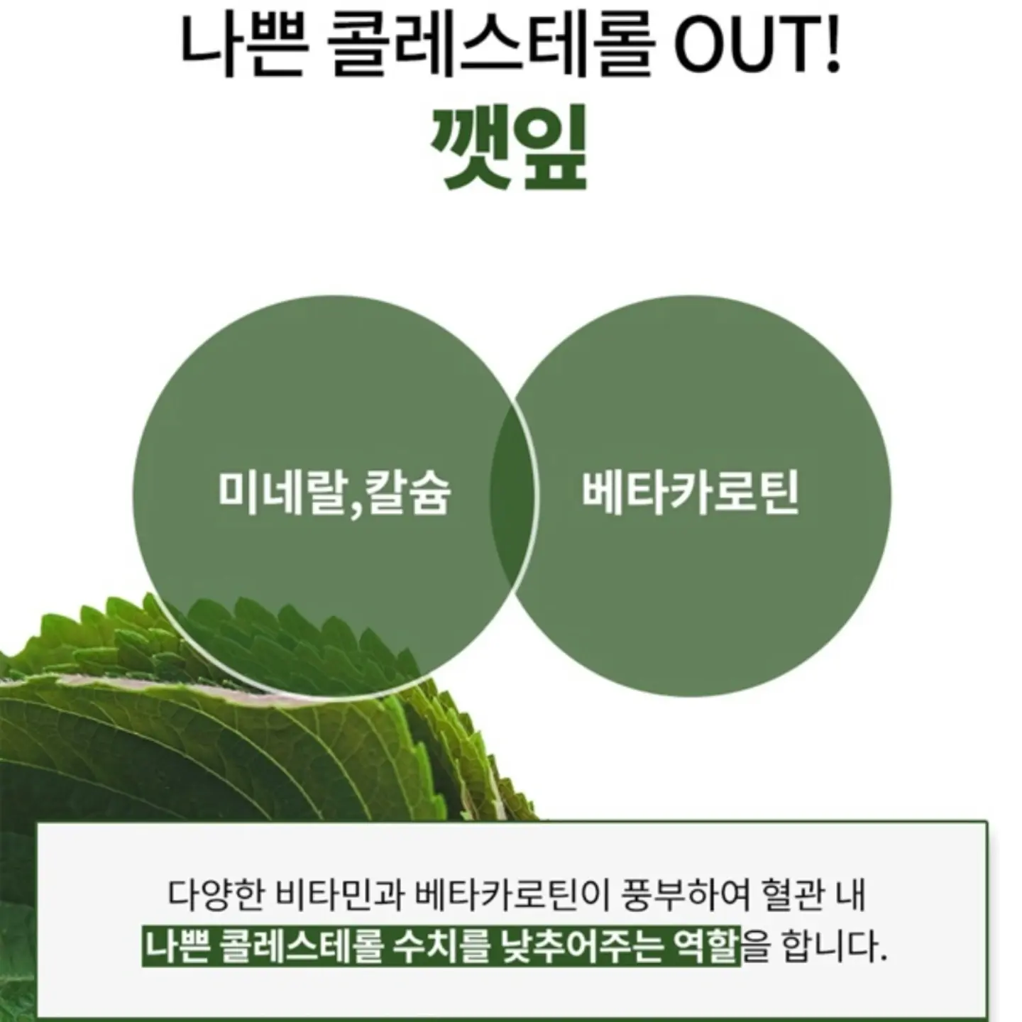 마늘쫑 비빔밥 5