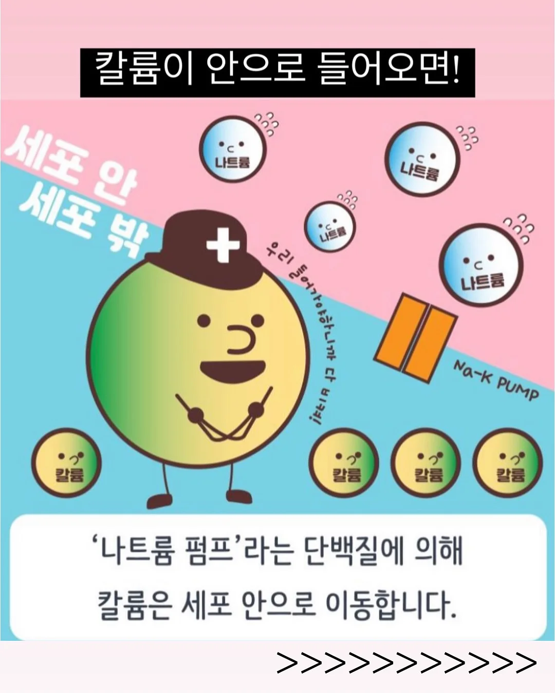 누베 침대 프레임 8