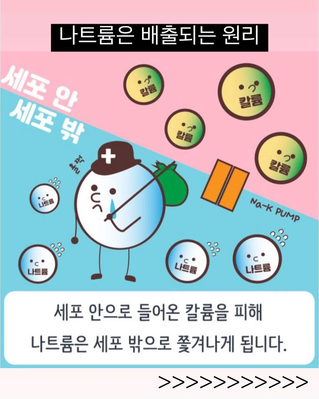 누베 침대 프레임 9