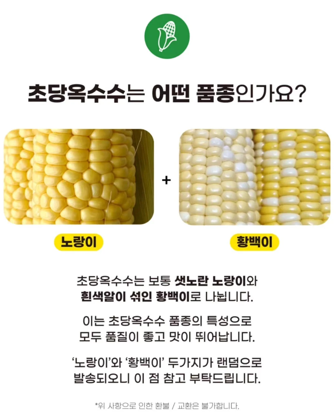 통통 카네이션 클리어 케이스 11