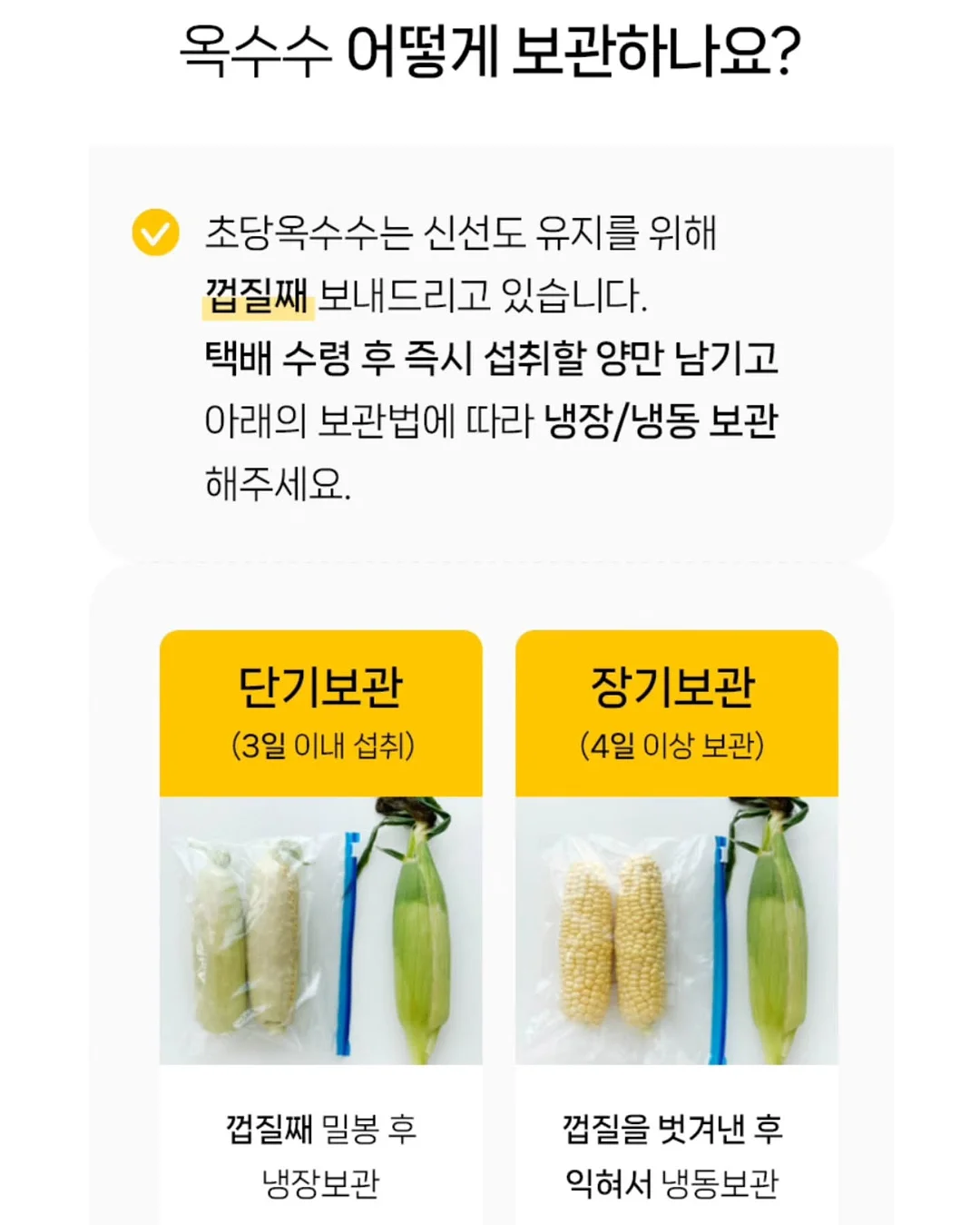 통통 카네이션 클리어 케이스 13
