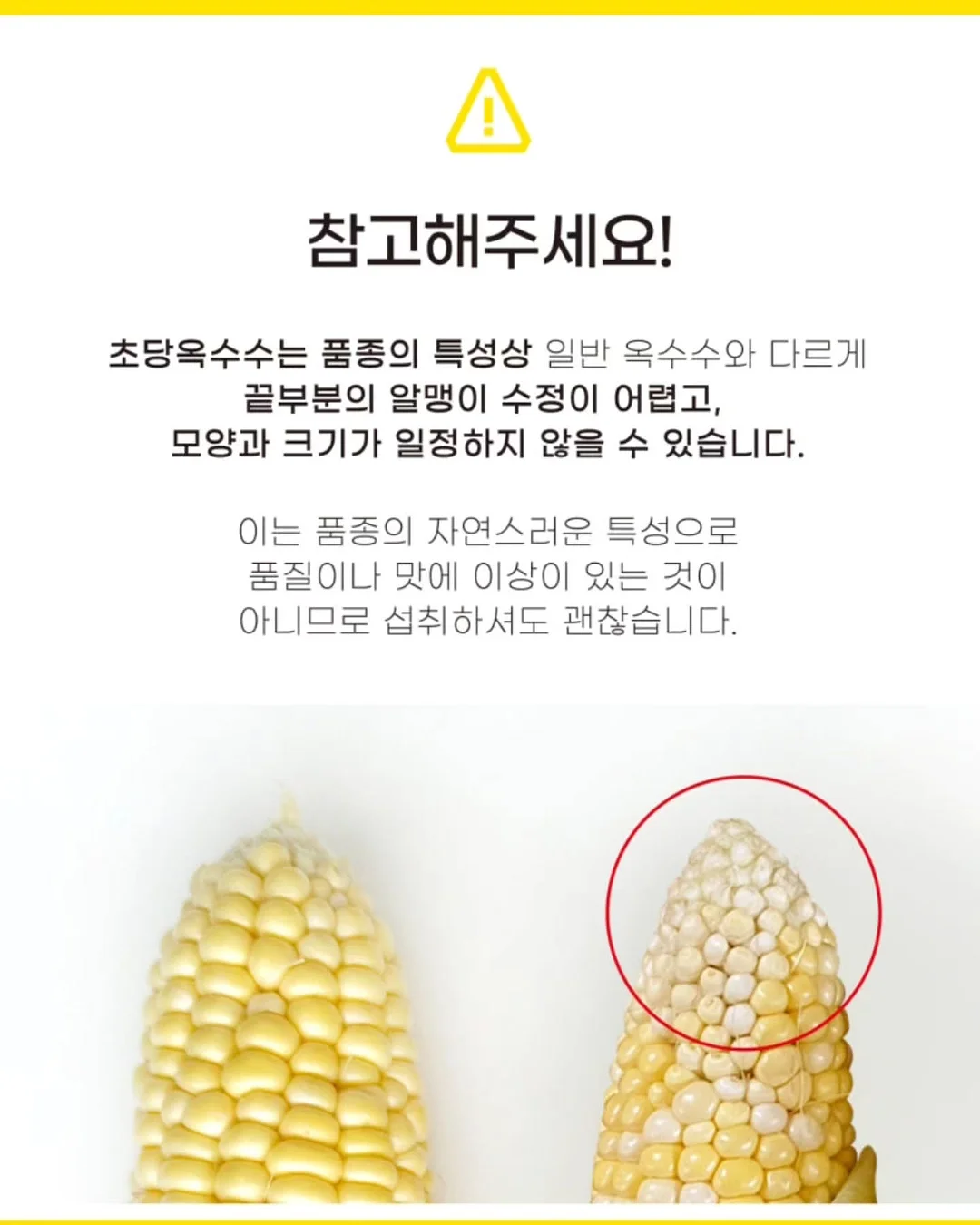 통통 카네이션 클리어 케이스 15