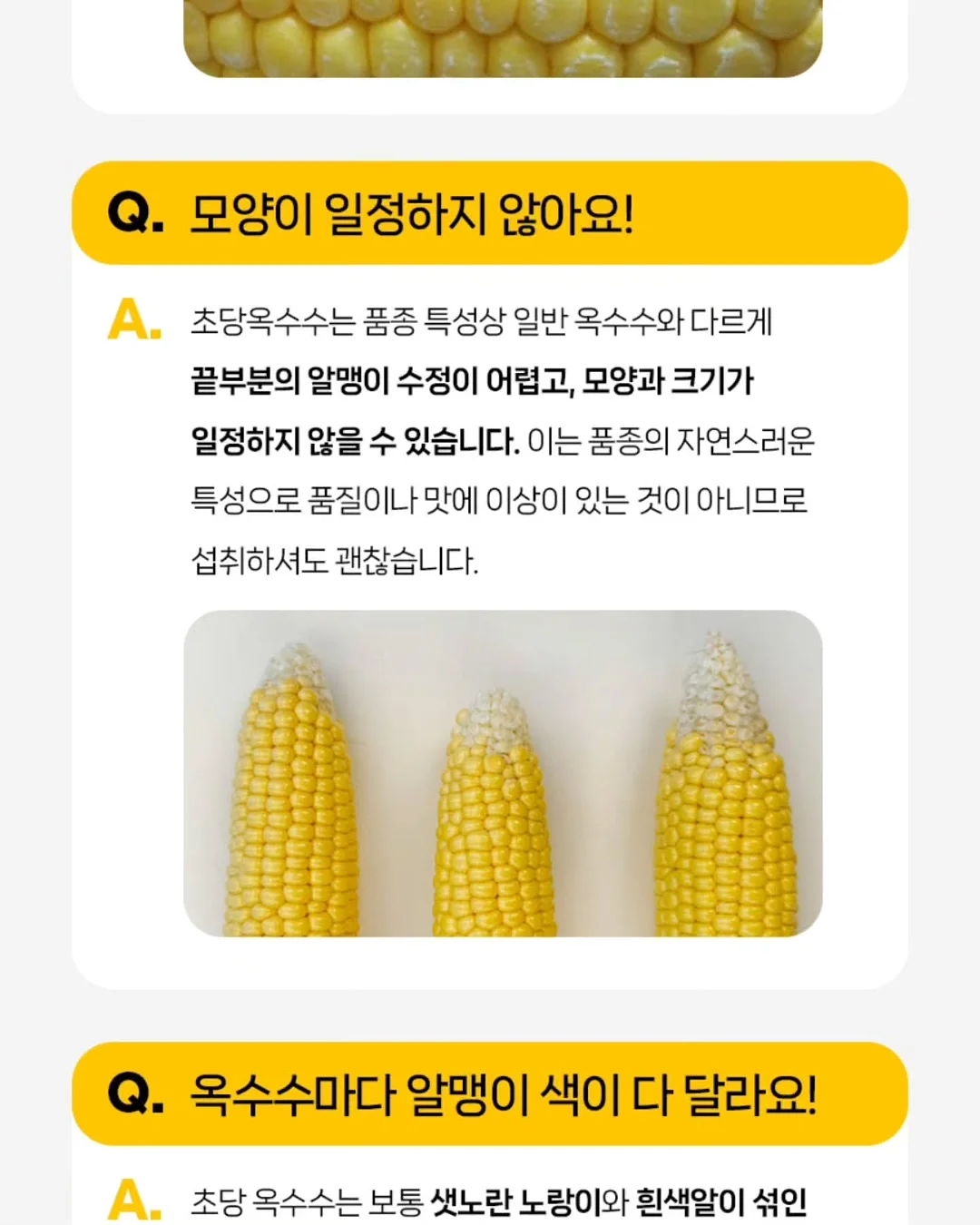 통통 카네이션 클리어 케이스 16