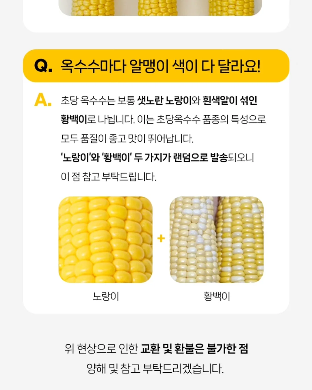 통통 카네이션 클리어 케이스 17
