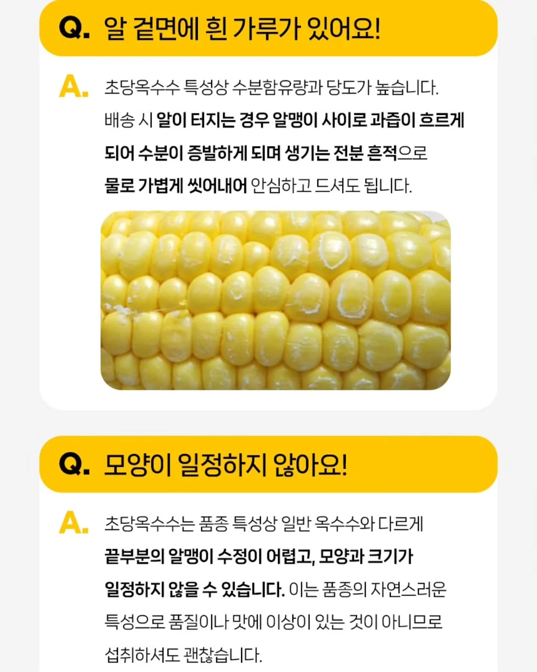 통통 카네이션 클리어 케이스 18