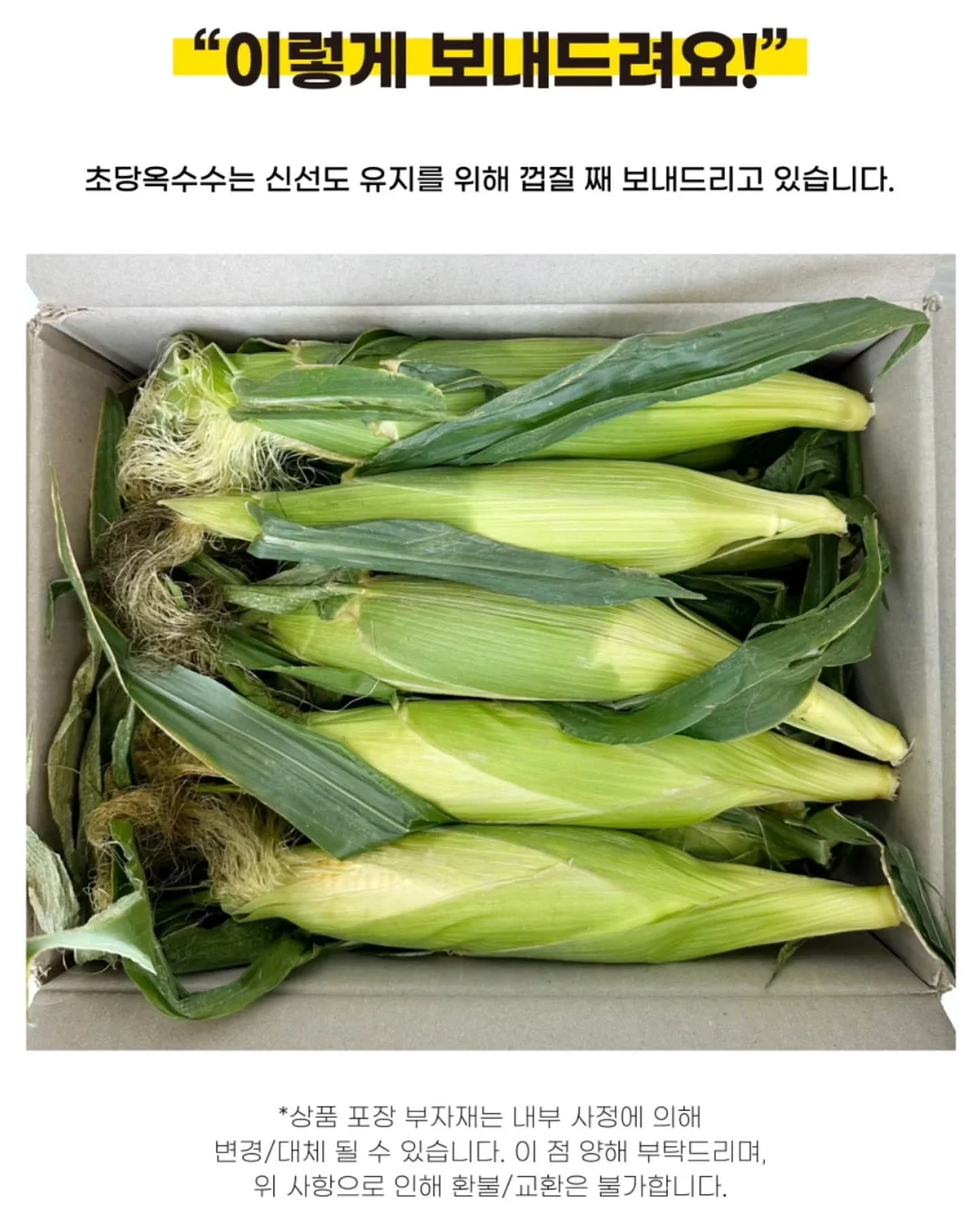 통통 카네이션 클리어 케이스 20