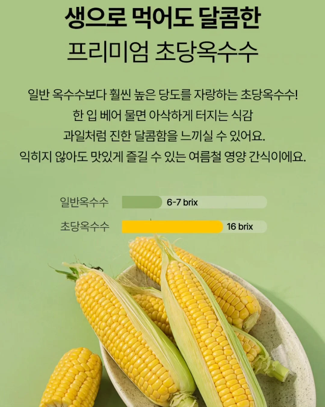 통통 카네이션 클리어 케이스 8