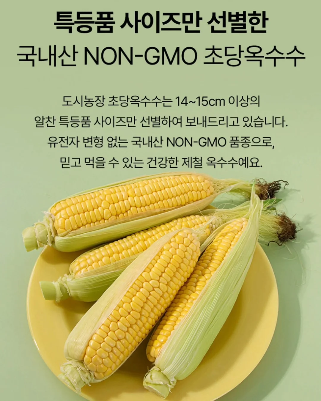 통통 카네이션 클리어 케이스 10