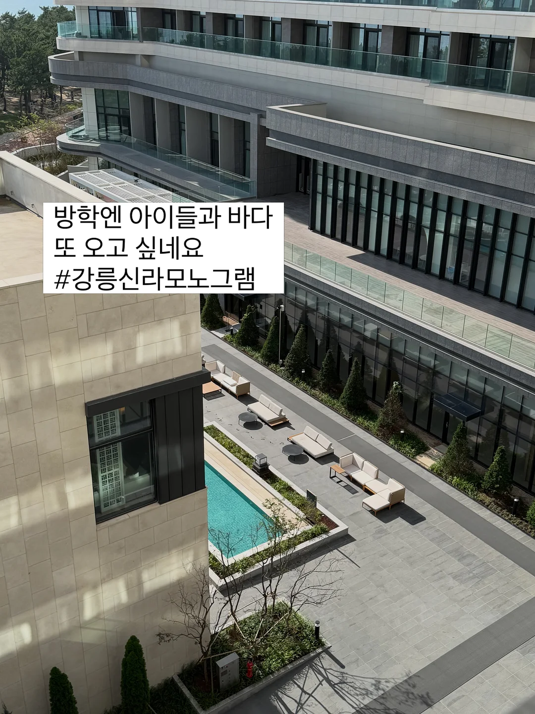 프릴 오픈 블라우스 1