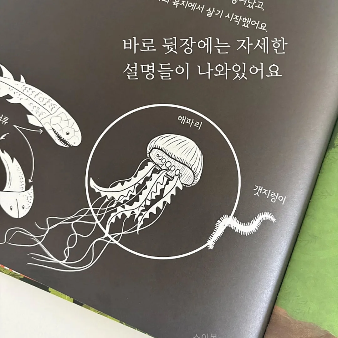초당옥수수 버무리 6