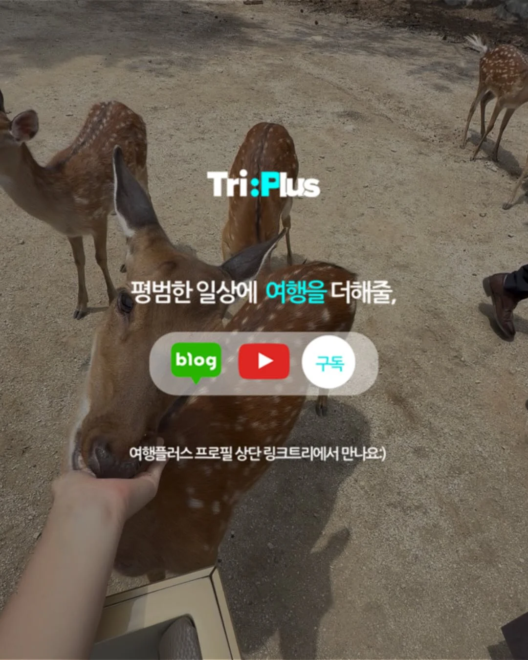 더마블록 PDRN 콜라겐 토너 6