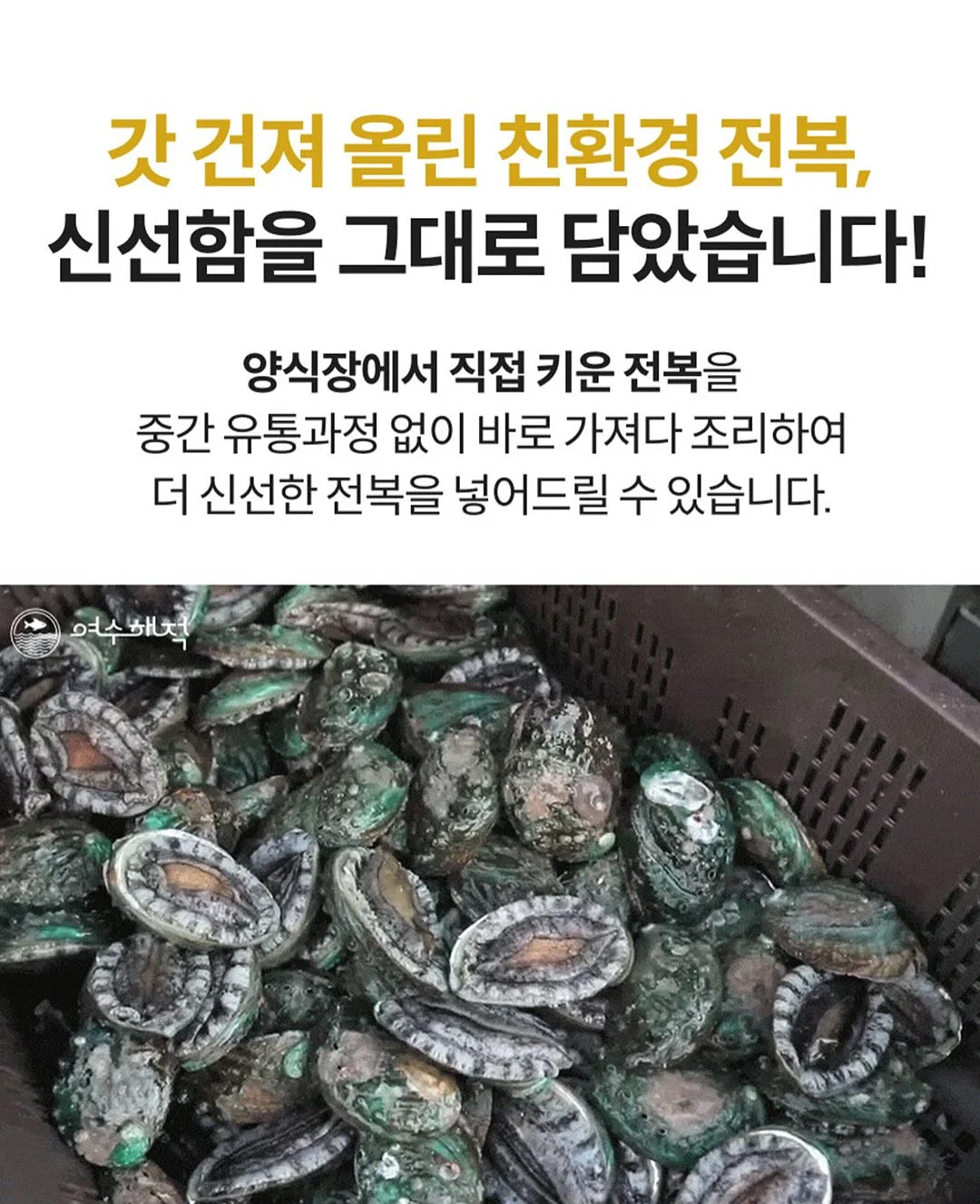 포켓몬 테마시계 13