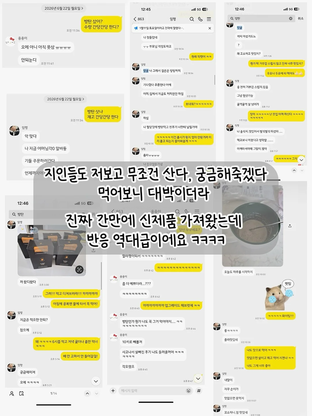 그로우랩 데이프로바 + 투데이디3 8