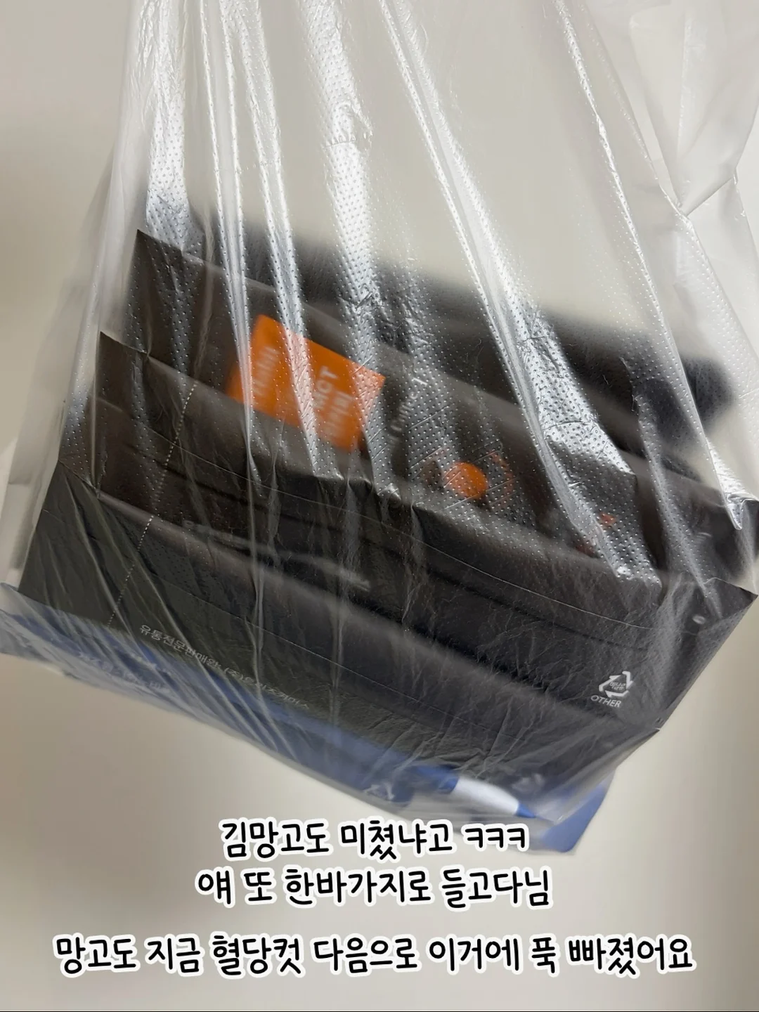 그로우랩 데이프로바 + 투데이디3 9