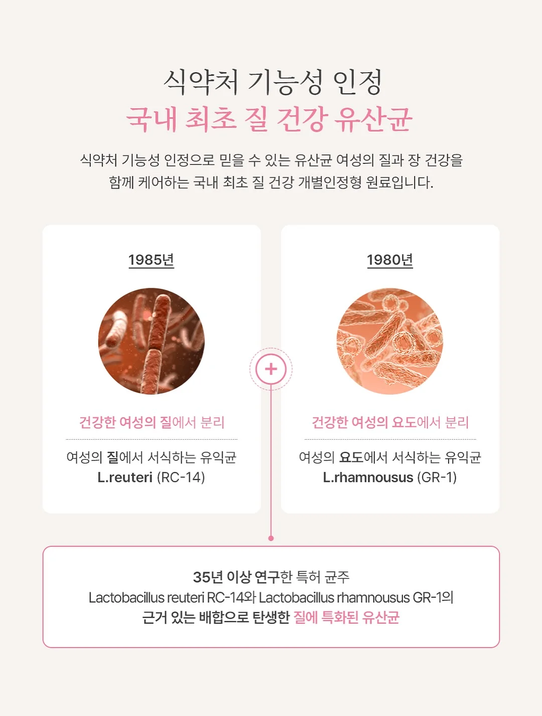 선물 4