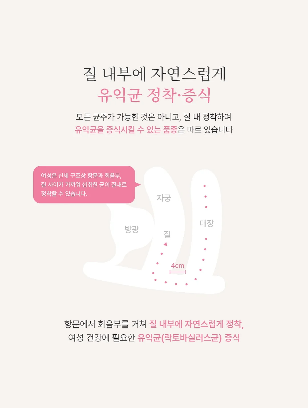 선물 6