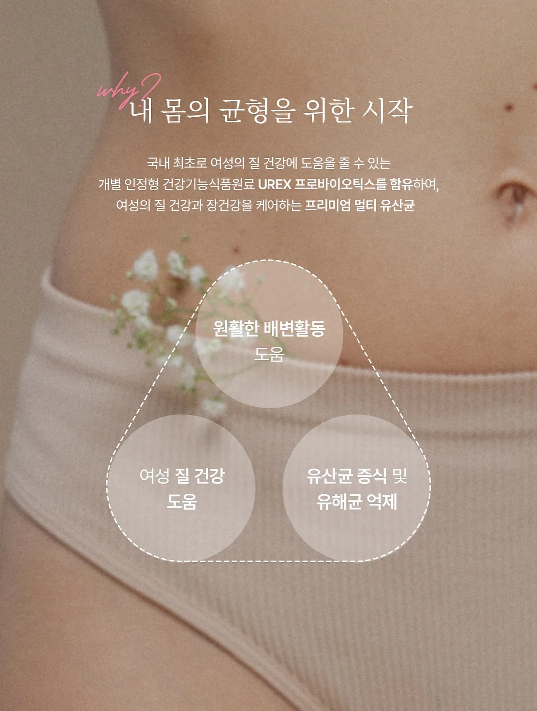 선물 8