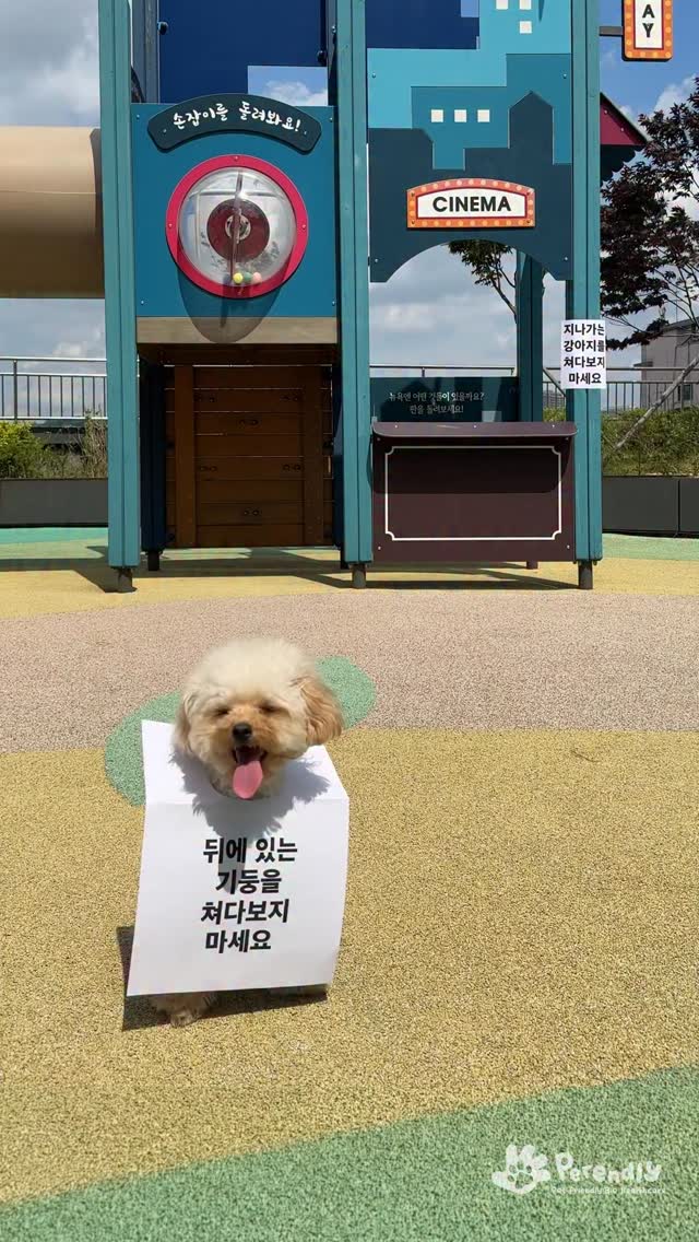 파데프리 쿠션, 클렌징, 토너, 팩, 인핸서