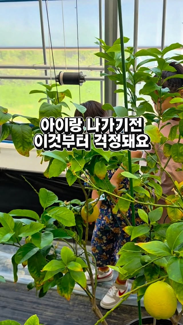 드래곤볼 카메하메하 참