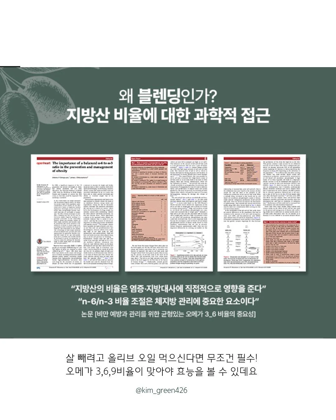 나무의사 놀이 9