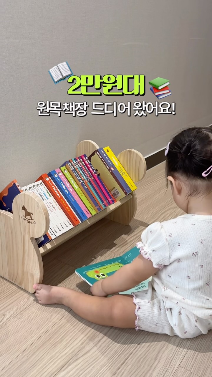 아오라 TPU 장난감 정리함