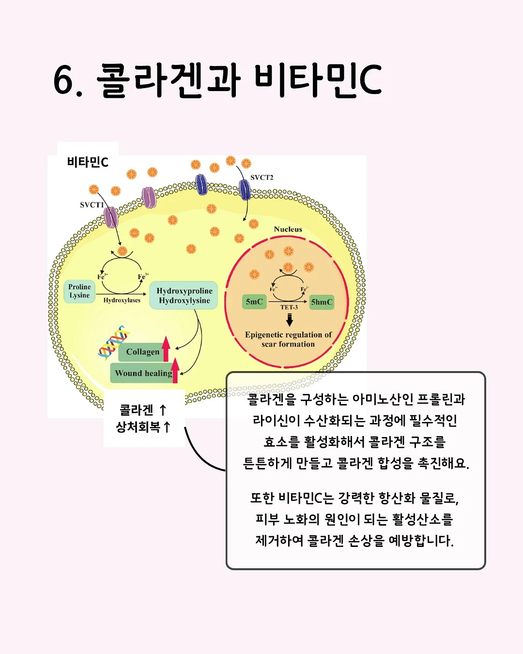 원타투 디자인 15