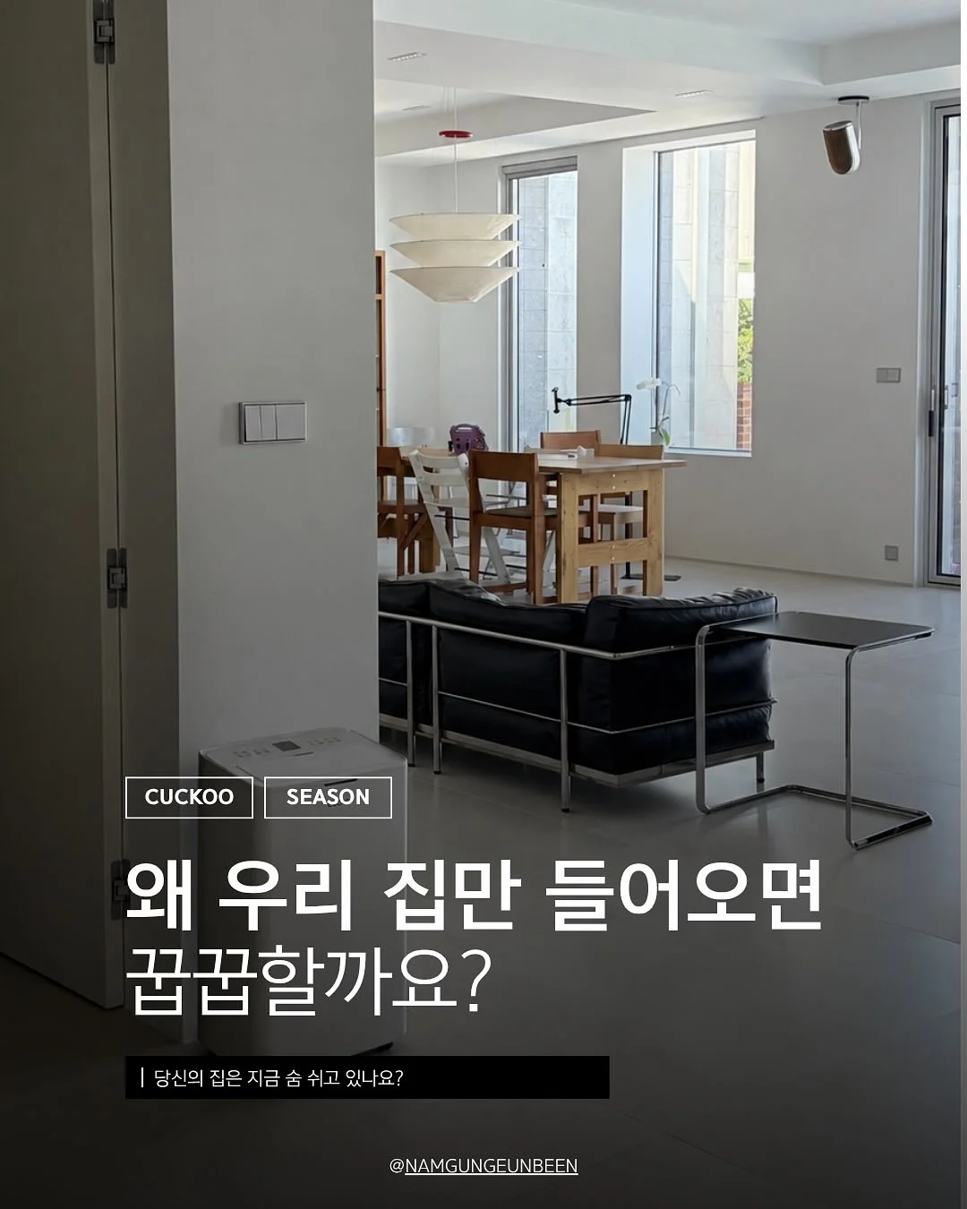 완두콩 수세미 1