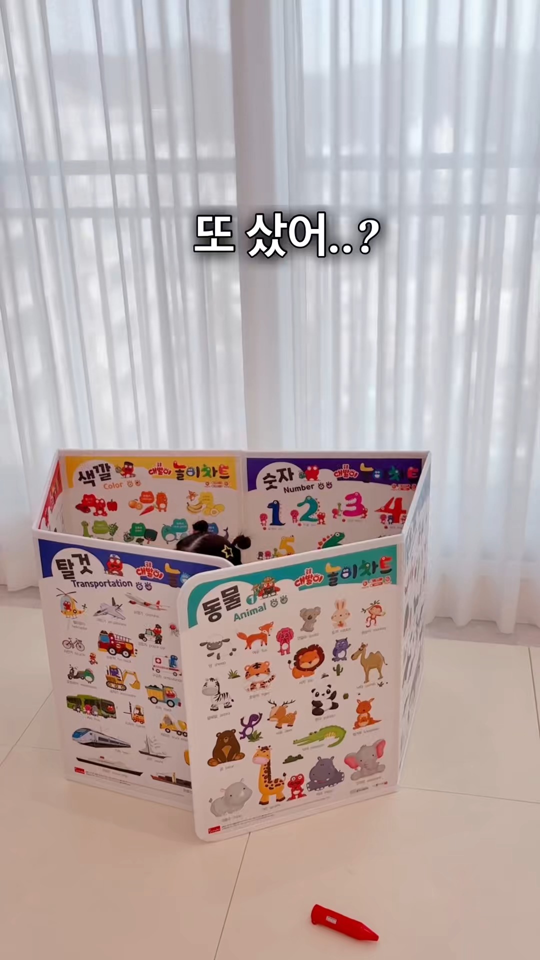 아몬드 피그 세트
