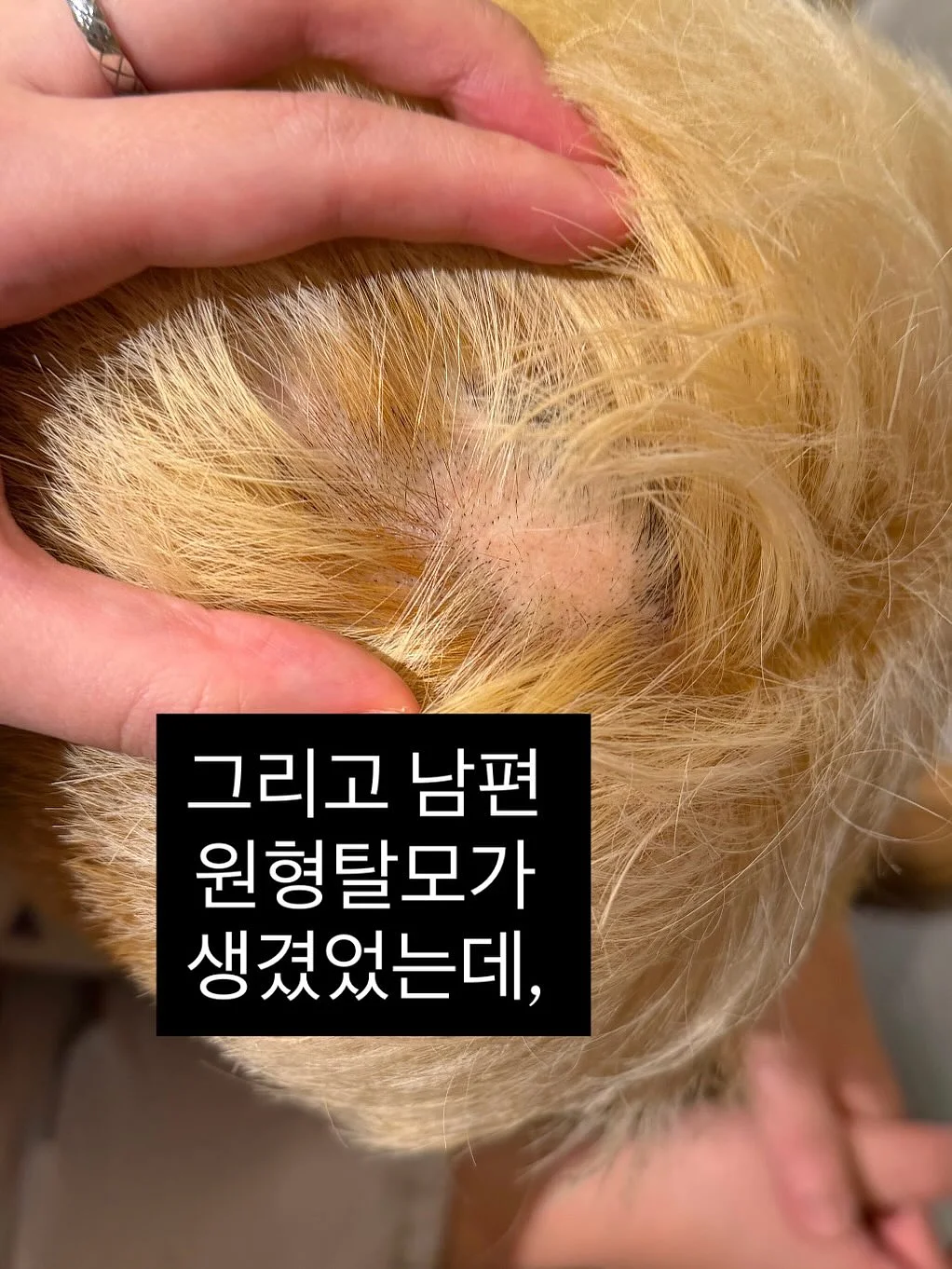 마롤로뜨 아기쿨매트 5