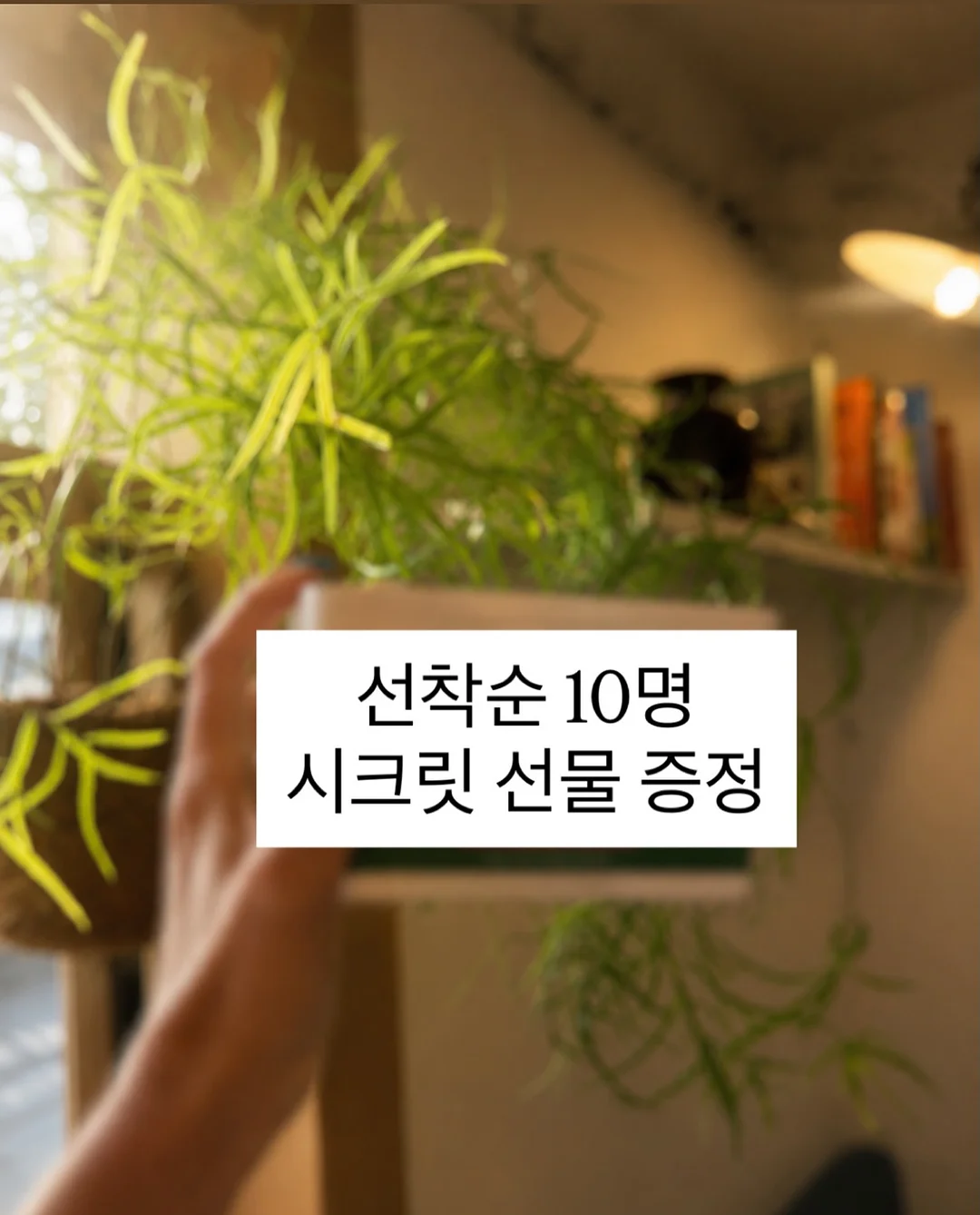 오이 샐러드 5