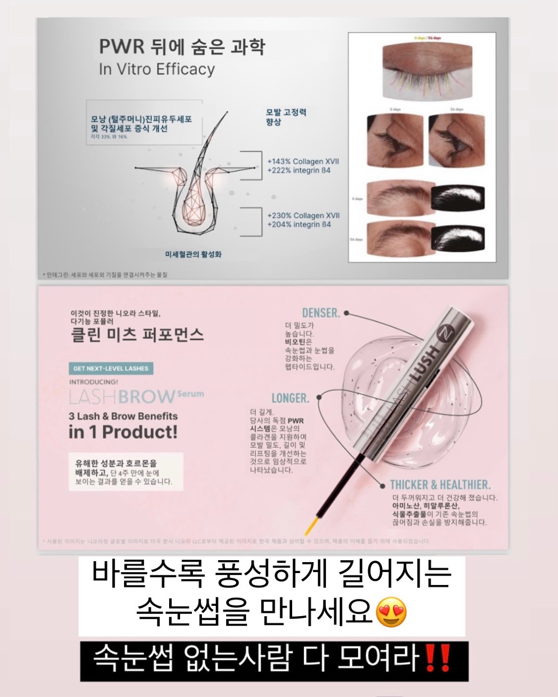 직장운 사주 9