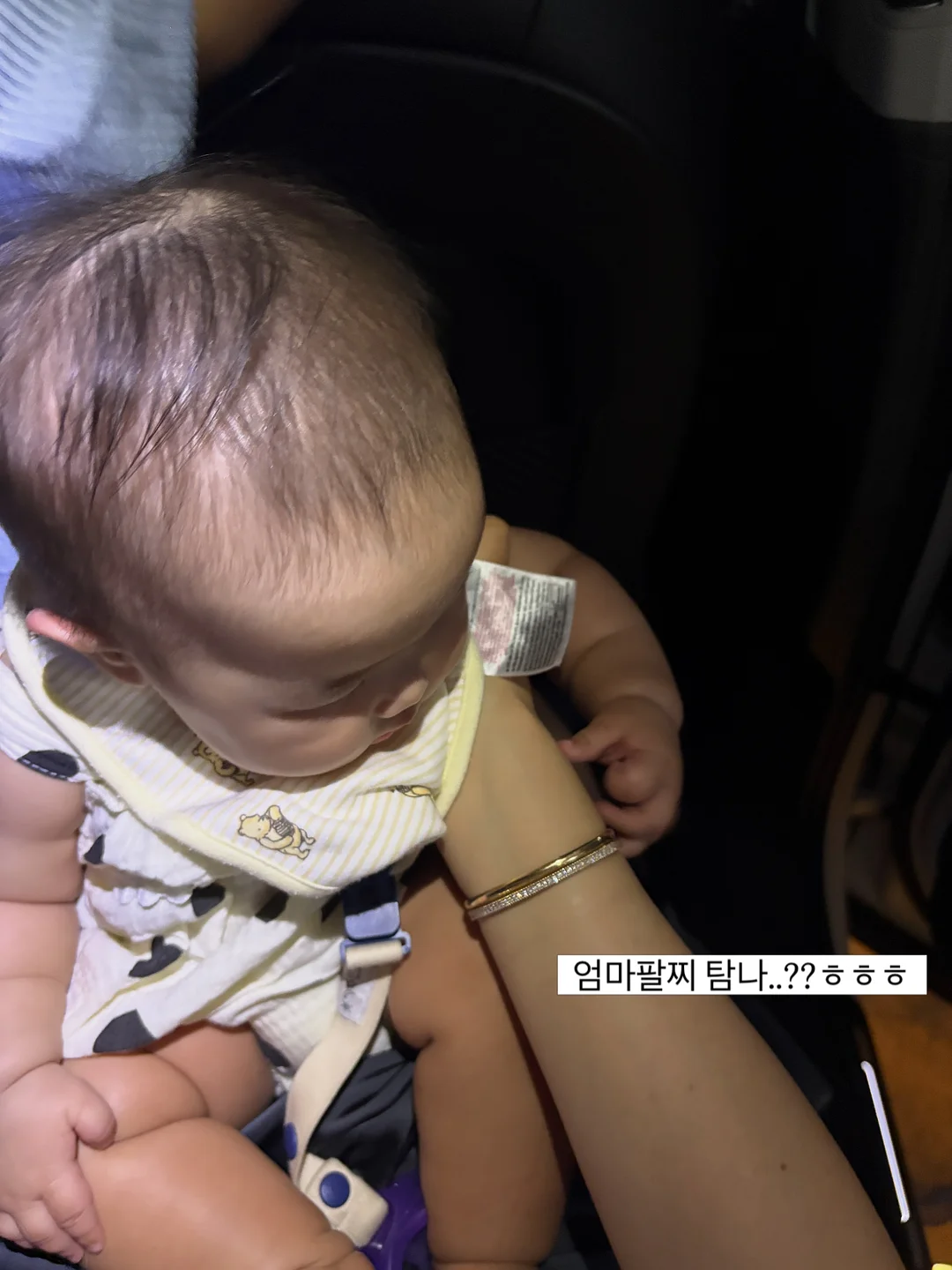 테무 말랑이 20