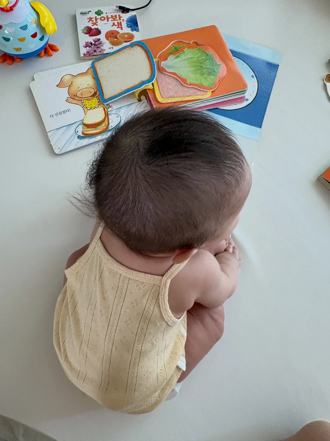테무 말랑이 2