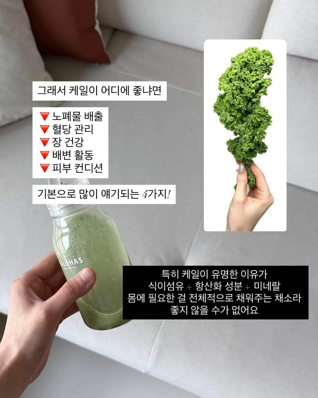 힐조 시트로넬라 스틱밤 13