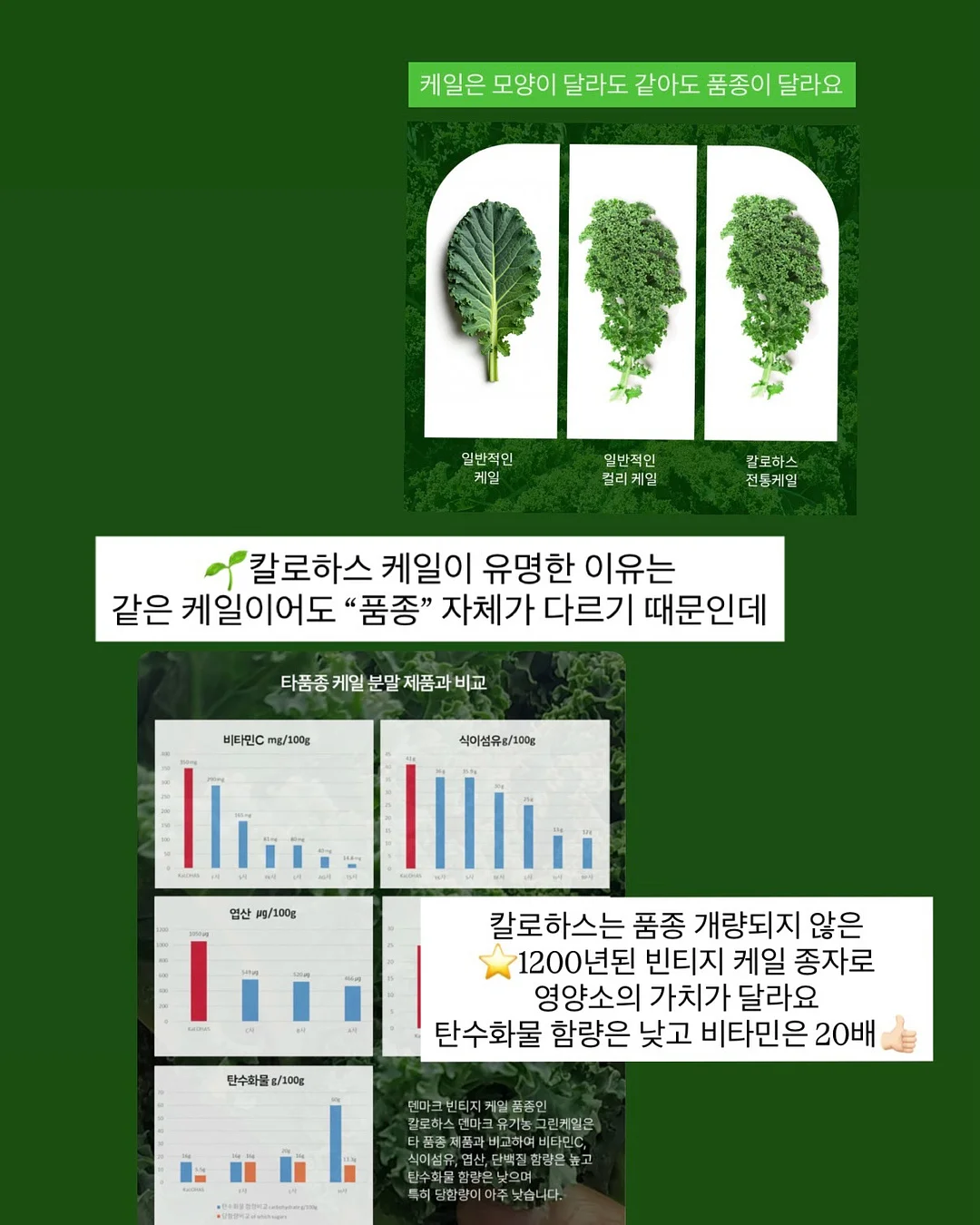 힐조 시트로넬라 스틱밤 8
