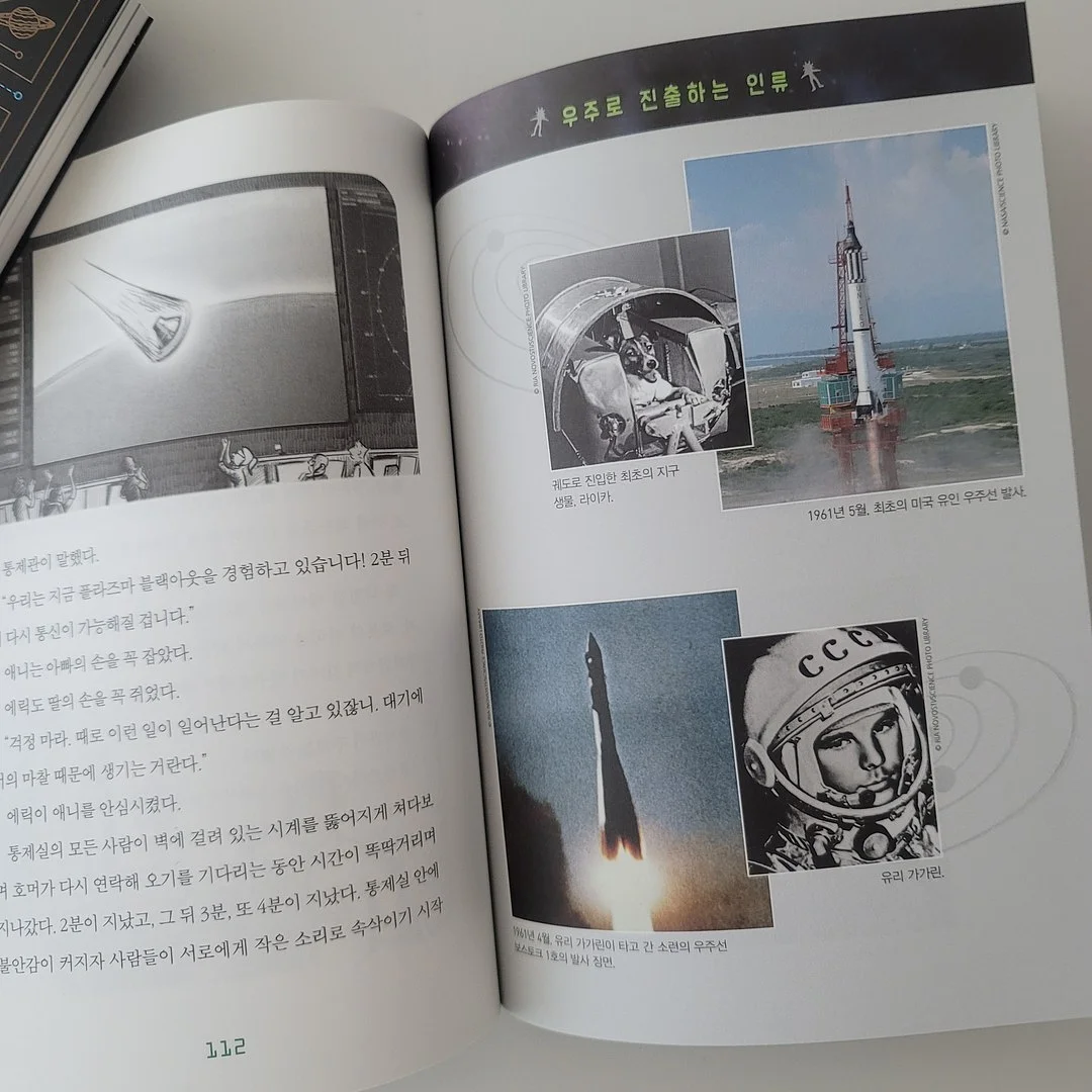 계란 보관 케이스 9