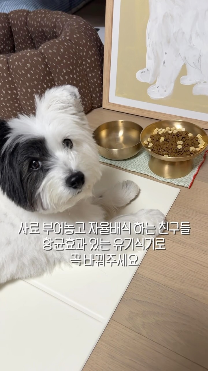 히랑 여름 랜덤박스