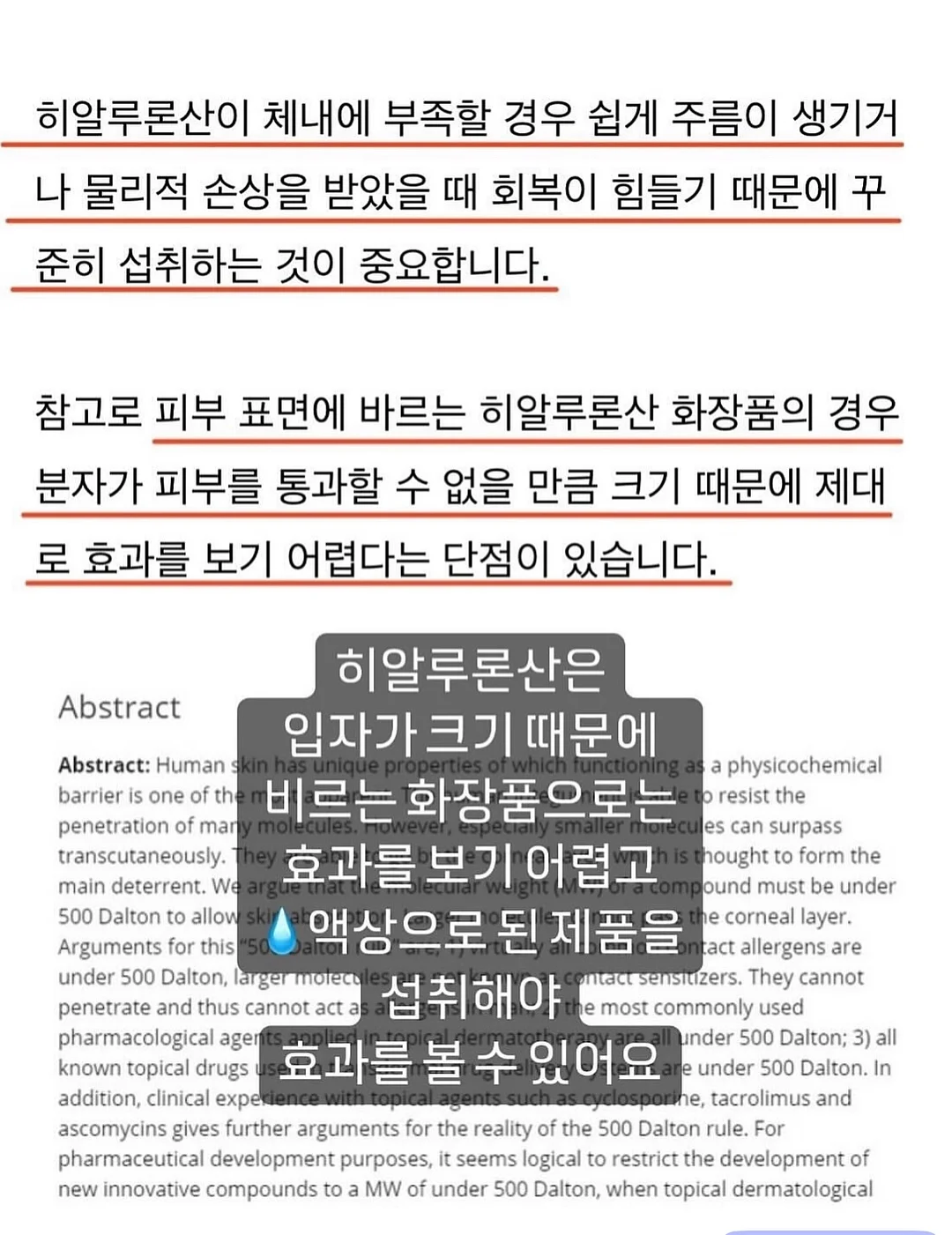 니멀 팬츠 4