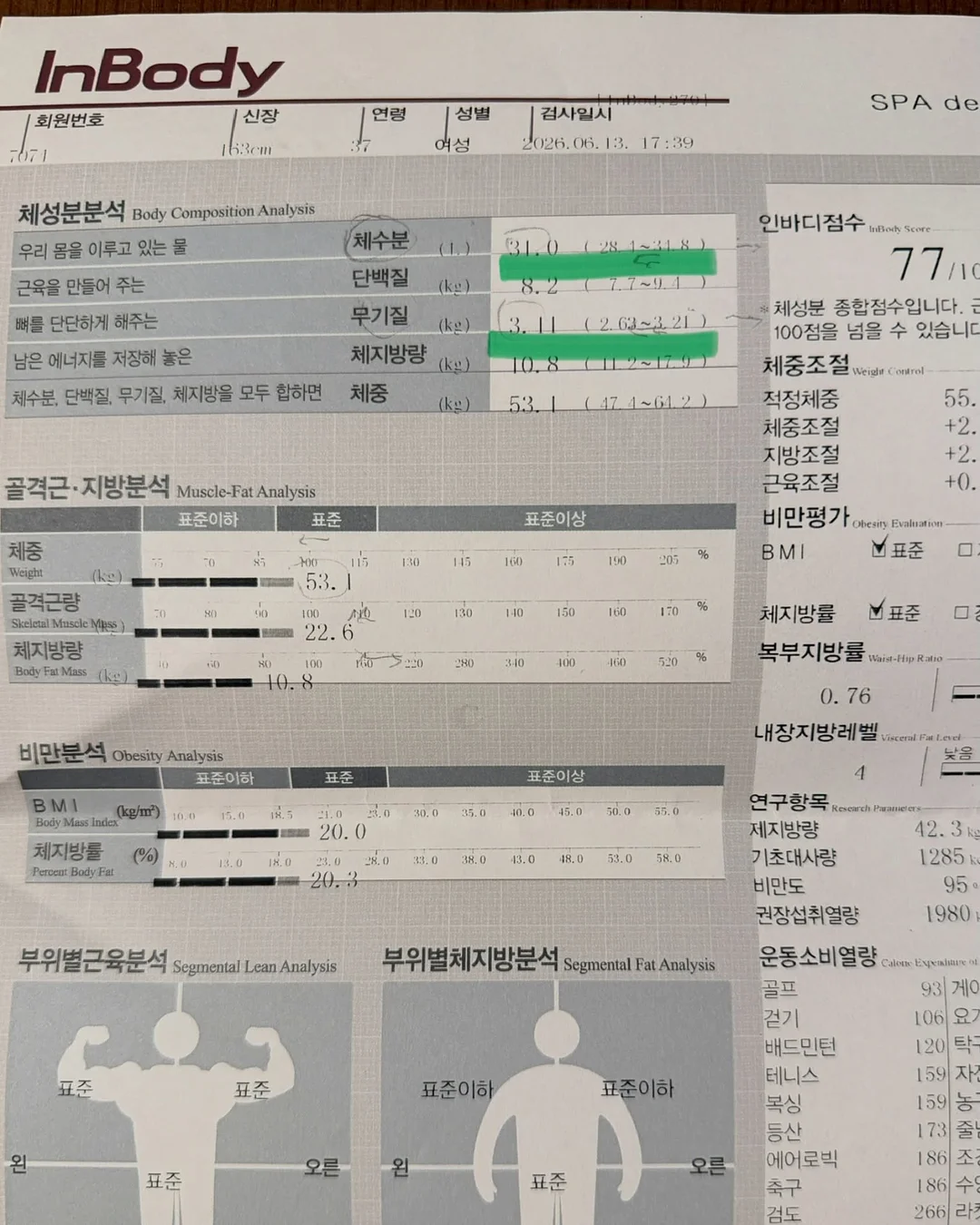 나들이룩 모음 3