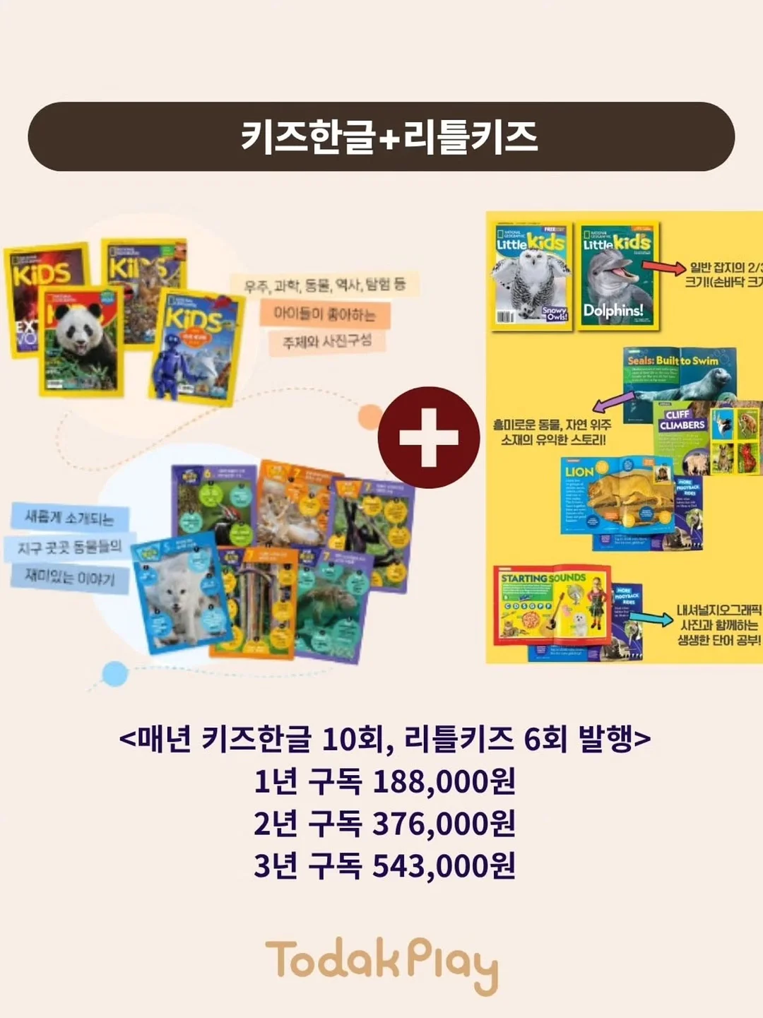 두위씨 심리스 속옷 11