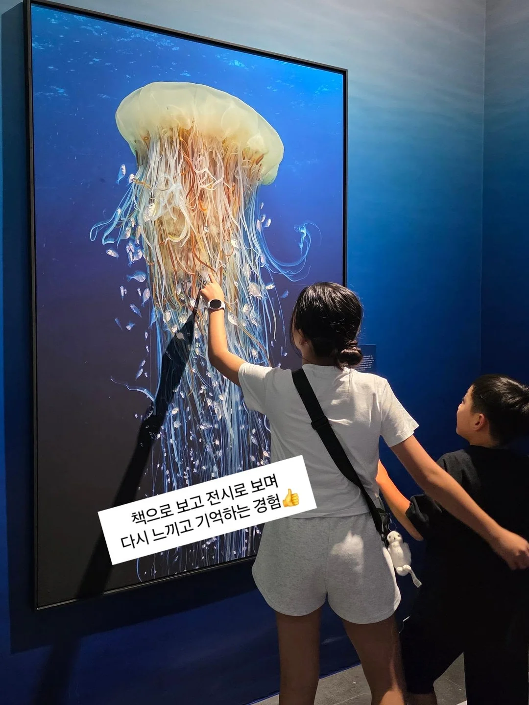 두위씨 심리스 속옷 14