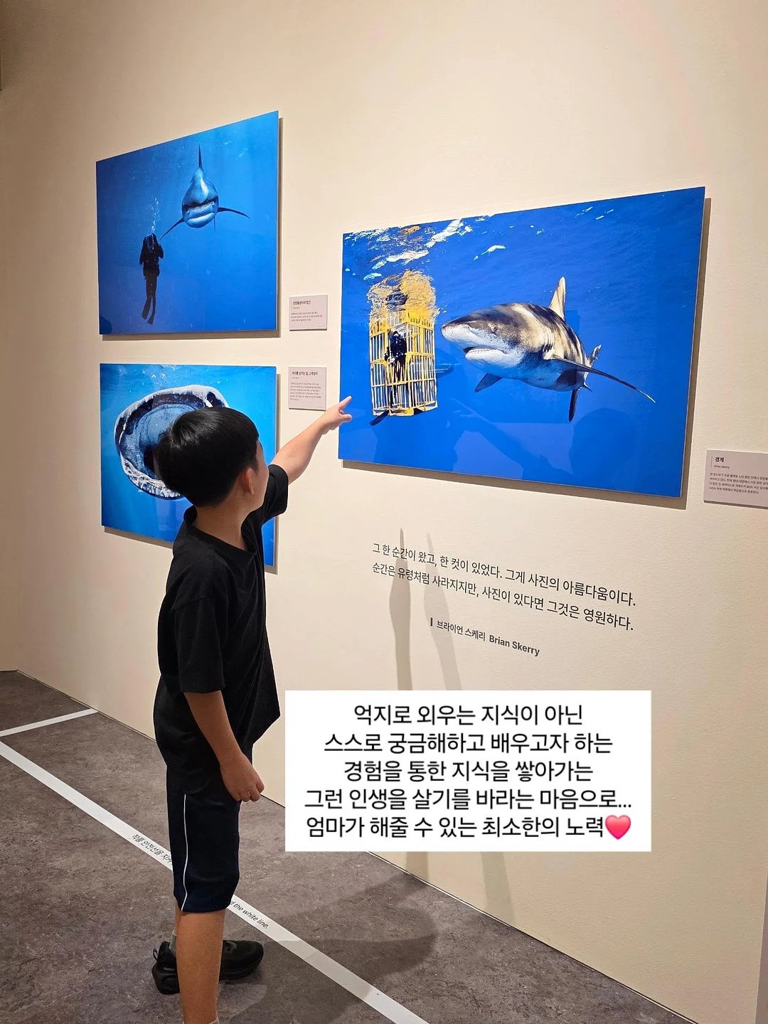 두위씨 심리스 속옷 16